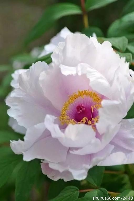 640.webp (2)