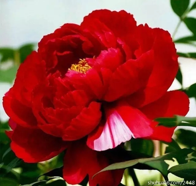 640.webp (4)