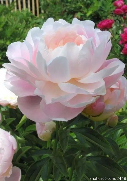 640.webp (3)