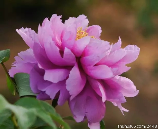 640.webp (14)