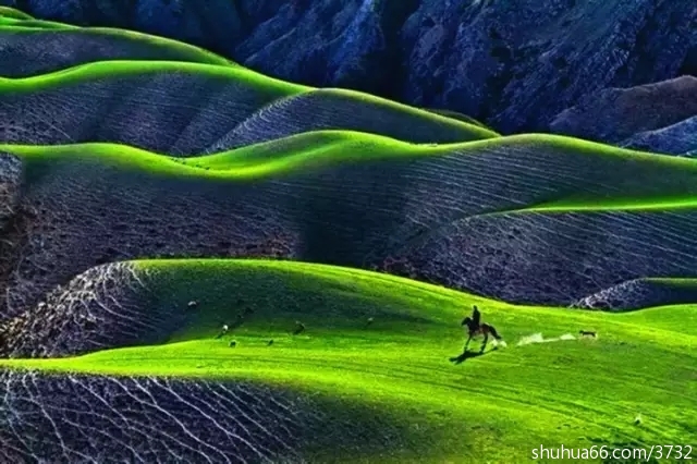 ��������������