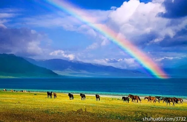 ���������