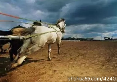 成功不是打败别人,而是改变自己!