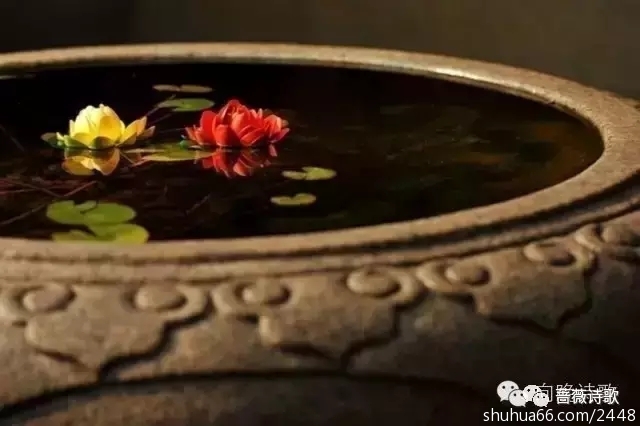 640.webp (4)