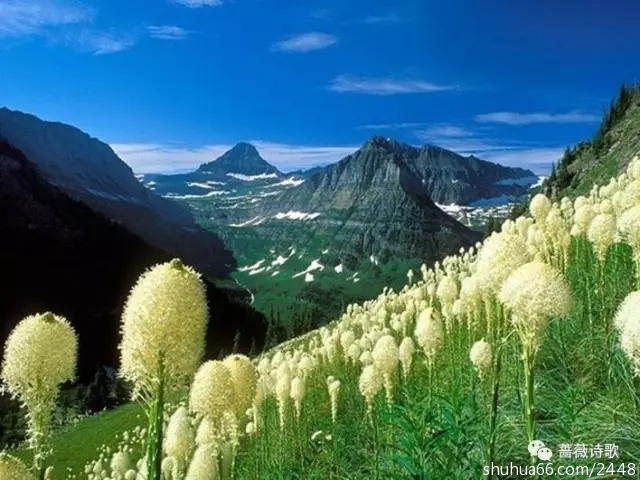 640.webp (5)