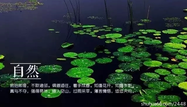 640.webp (9)