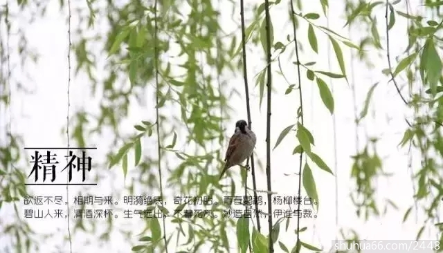 640.webp (12)