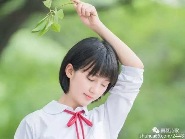 640.webp (14)