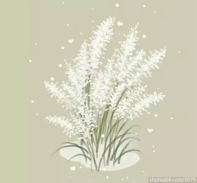 ��õĽ��������÷ִ������