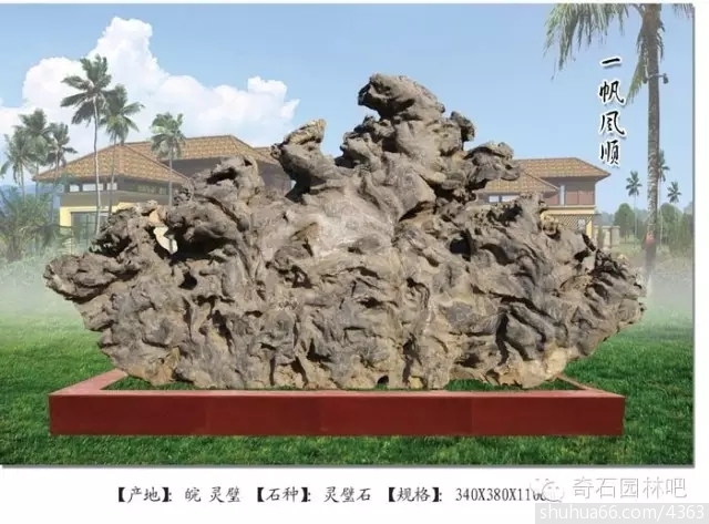 640.webp (10)
