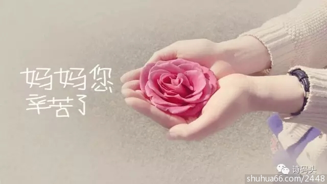 640.webp24.webp