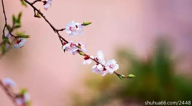 640.webp (3)