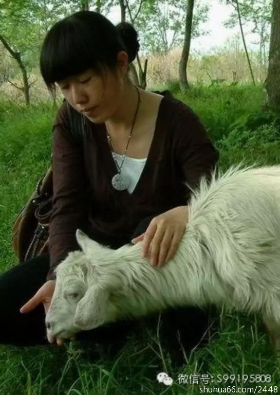 Ҷ������ʢ��ҹ���(37��)