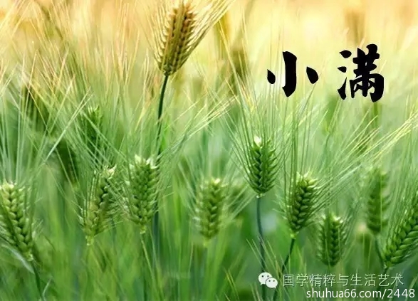 С������ӯ������������Ѿ���