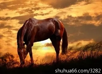 640.webp5.webp