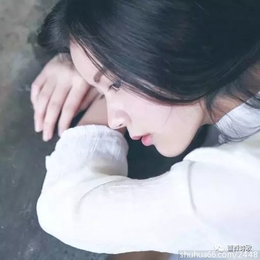 640.webp (7)
