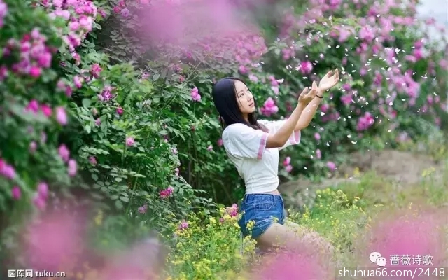 640.webp (9)