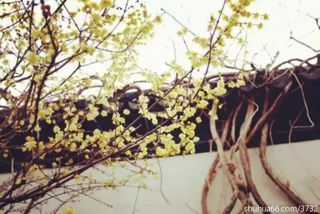 7篇精彩小短文,引人深思!