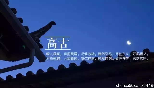 640.webp (4)
