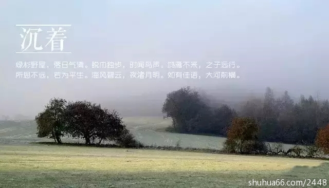 640.webp (3)