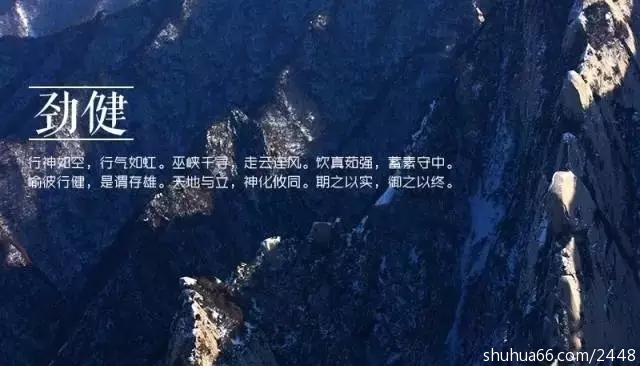640.webp (7)