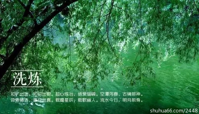 640.webp (6)