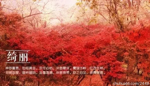 640.webp (8)