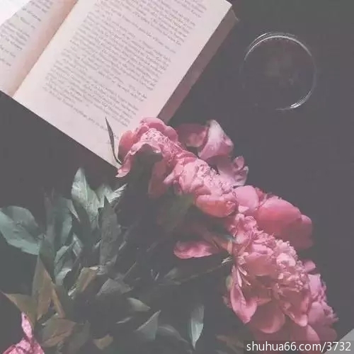 �ڼ򵥴������Լ�