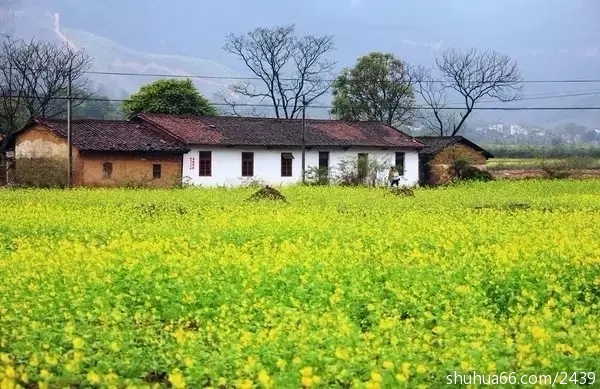 人到中年后,最高境界,就这两个字!