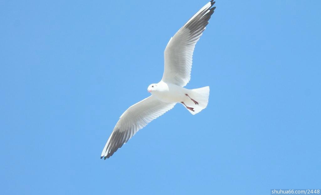 16pic_1624683_b