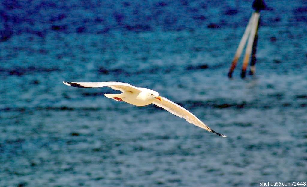 158PICM58PICBwz_1024