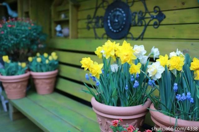 我希望(年度最佳美文)