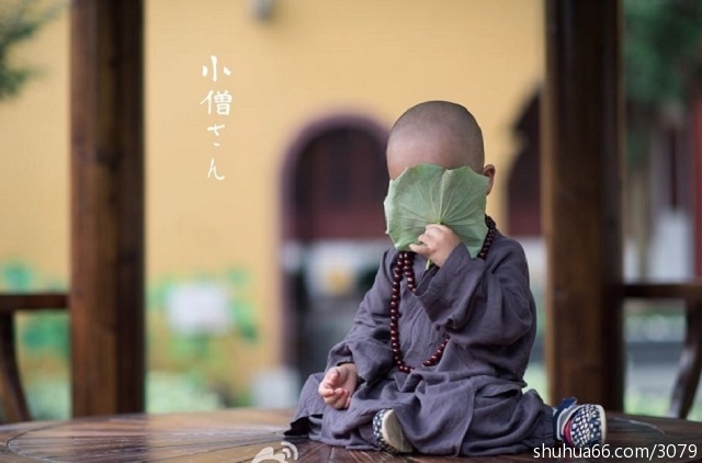 Img416927076