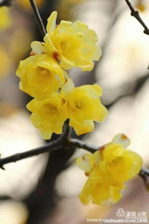 47f77cb71c0d478c950c53db240e83e6