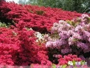 ����̫�죬��һ��������