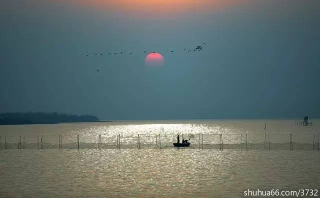 �������������Լ�