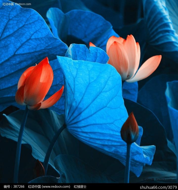 ��һ�����򲻵������ˣ�