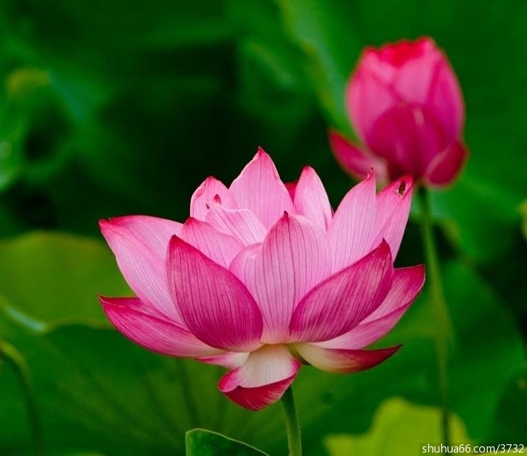 ���Ⱥ쳾 ���ϻ���