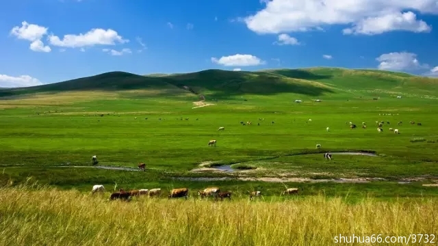 美丽的草原英勇的人