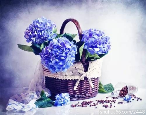 e65b4865d1344af2a7445d7fb6ce48c1_th