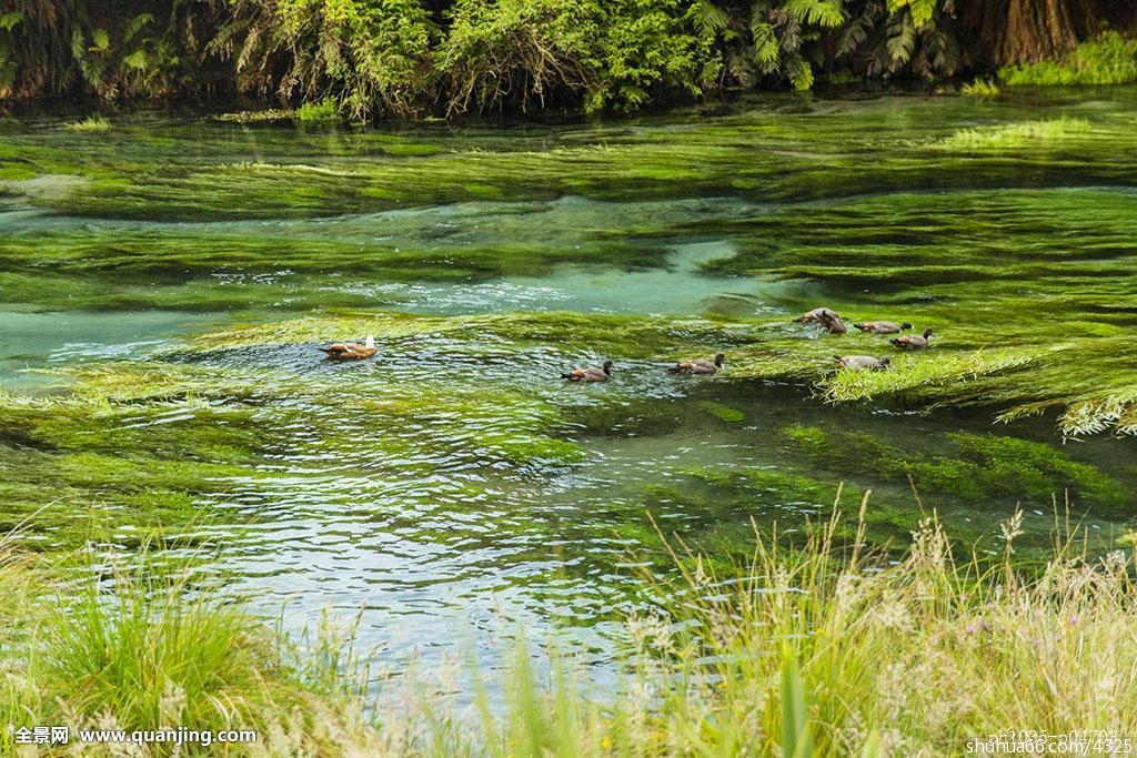 ʧȥ��ҽ�����˽����������Ĵ��ۣ�