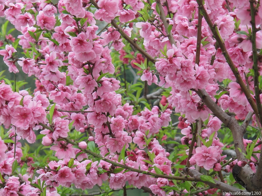 201403050849333586