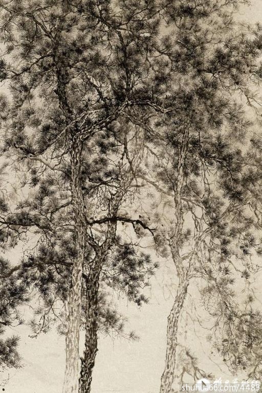 �¹���ɽˮ�������ҡ������о��γ̡���ѧ̽��