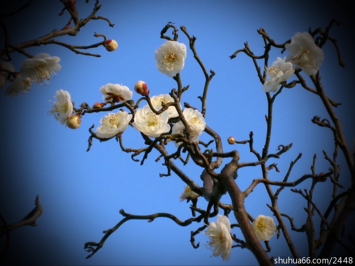 ����ʫ�ʼ���