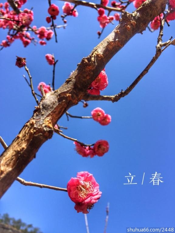 20160405220319_Kfaiz.thumb.700_0