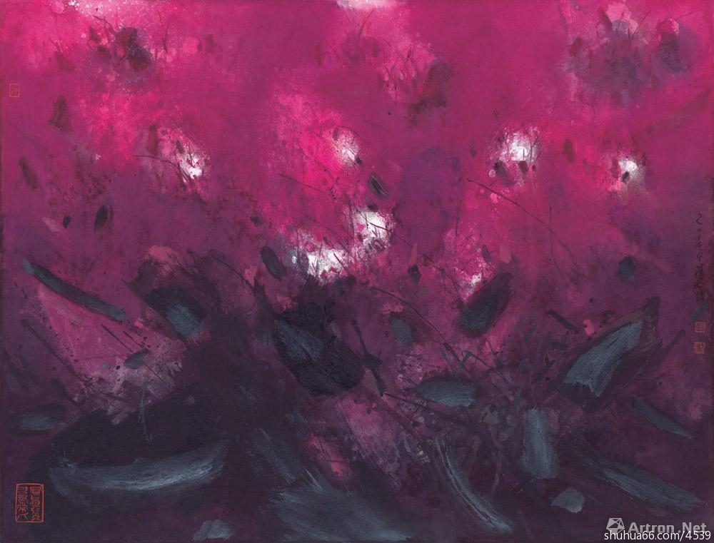 ��������̽����