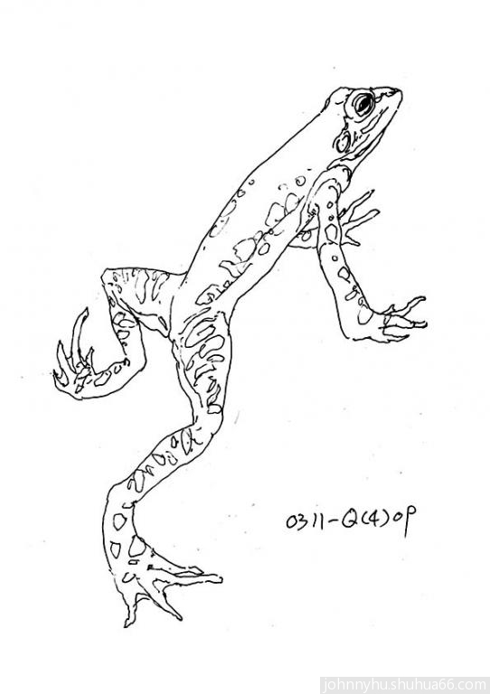0311Q409