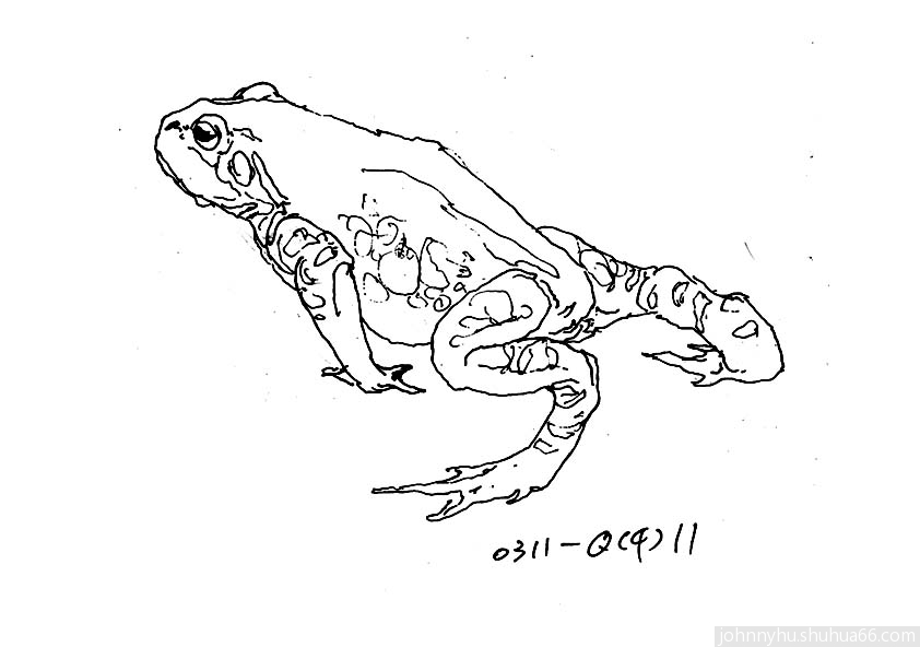0311Q411