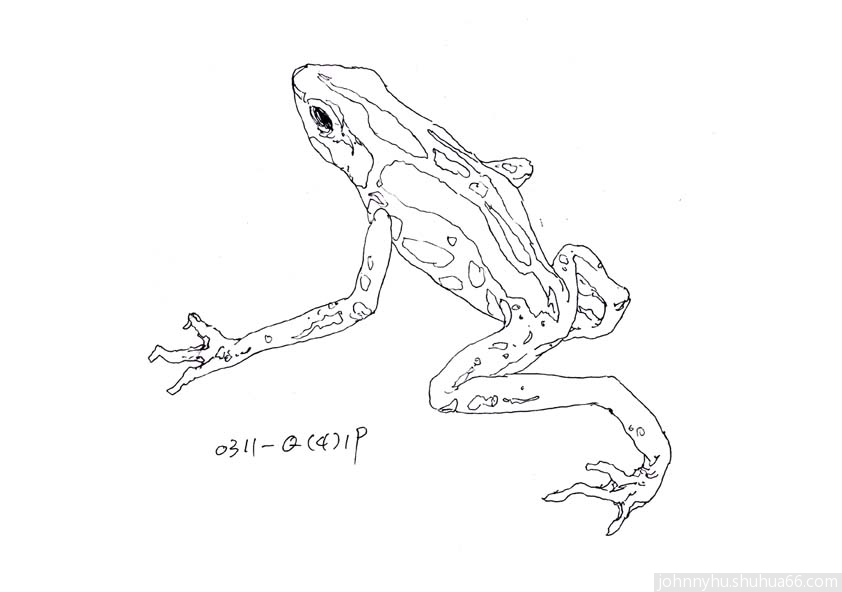 0311Q419