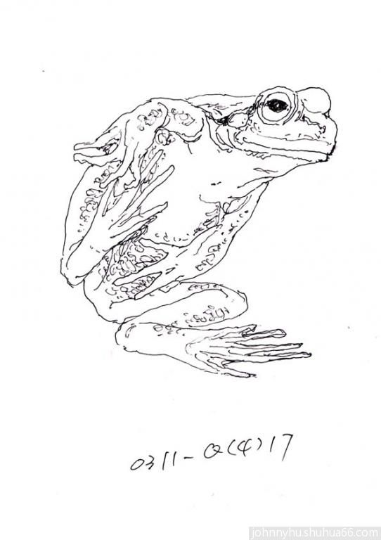 0311Q417